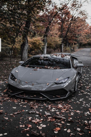 Autumn Elegance: The Lambo Experience 🍂🚗