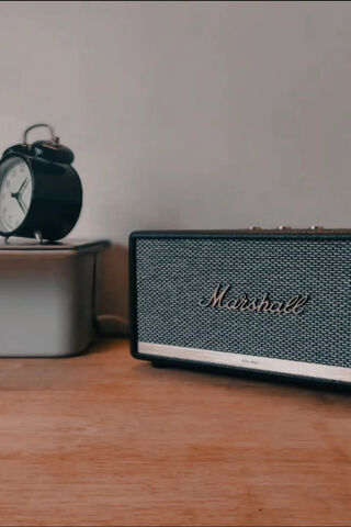 Marshall: The Sound of Style 🎶