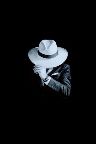 The Enigmatic Mr. Perfect: A Stylish Mystery