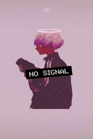 No Signal