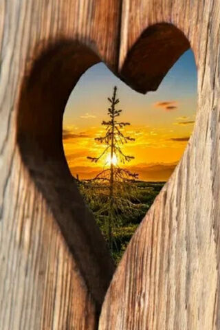 Heartfelt Horizons 🌅❤️