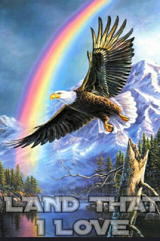 Soaring Freedom: A Tribute to the Patriot Spirit 🇺🇸🦅