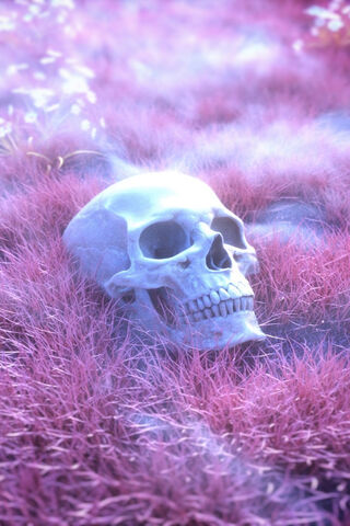 Whispering Echoes of th..