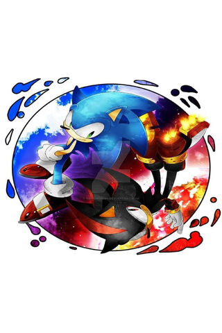 Speed Showdown: Sonic vs. Shadow! ⚡️🔥