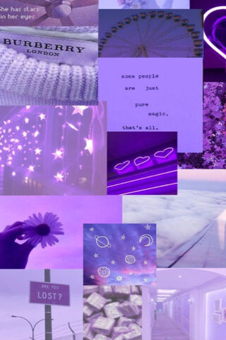 Soft Purple