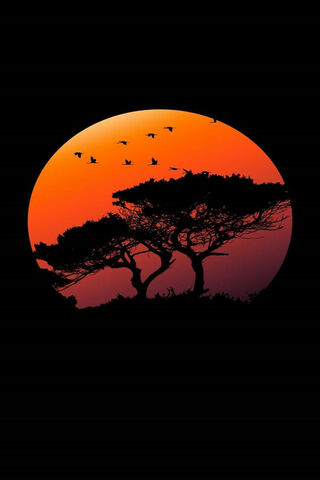 Whispers of the Shadow Tree 🌳🌅