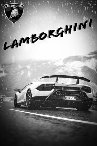 Snow White Lambo