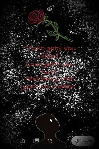 Whispers of Solitude 🌹