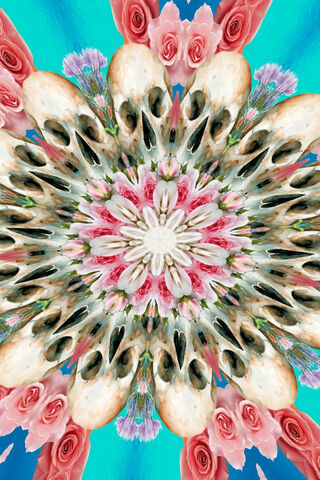 Nature's Dance of Life and Death 🌸💀