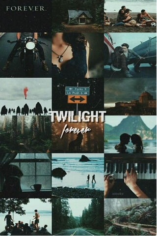 Eternal Twilight: A Journey Through Love and Adventure 🌌❤️