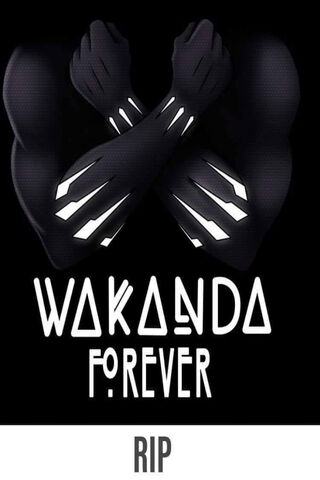Strength of Wakanda: A Tribute