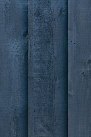 Deep Blue Timber: Nature's Canvas 🌲💙