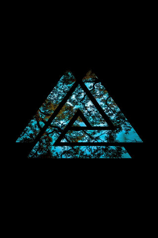 Nature's Reflection: The Triangular Eye