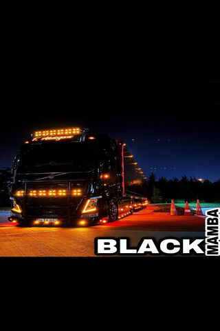 Nighttime Majesty: The Black Mamba Truck 🐍🚛