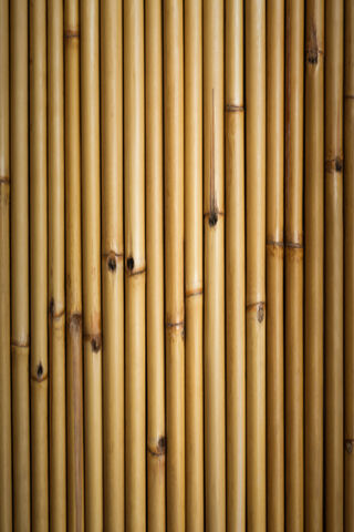 Nature's Elegant Columns: The Beauty of Bamboo 🌿