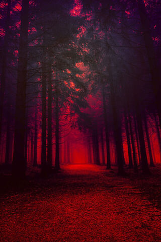 Into the Crimson Abyss 🌲🌌
