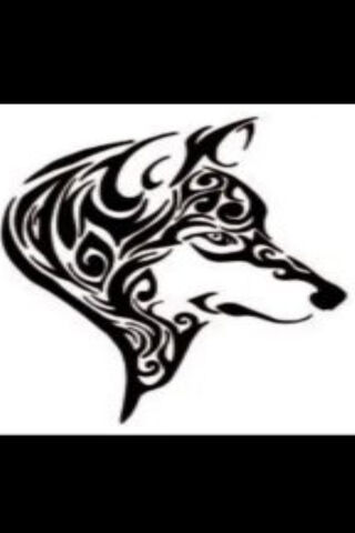 Mystical Wolf: The Glit..