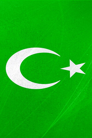 Pakistani Flag