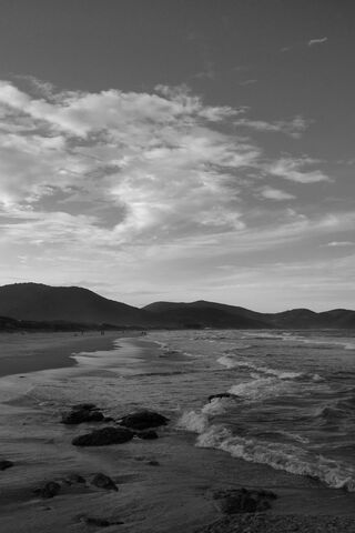 Serene Shores: A Black and White Escape