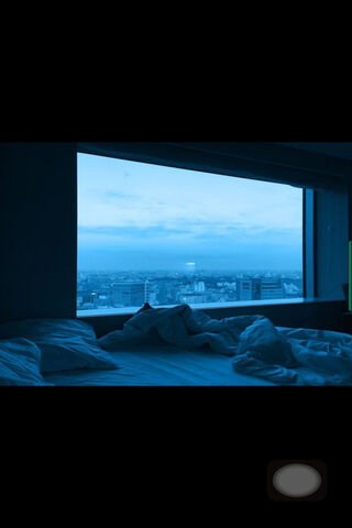 Serene Morning Bliss 🌅