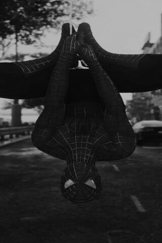 Web-Slinger in Action! 🕷️🕸️