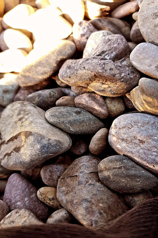 Nature's Mosaic: The Beauty of Stones 🌍✨