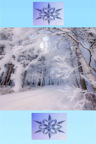 Winter Wonderland: A Snowy Escape ❄️🌨️