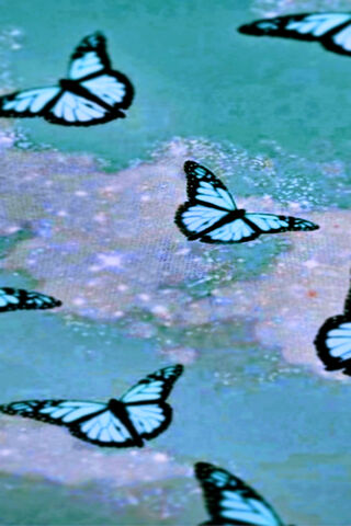 Wings of Radiance