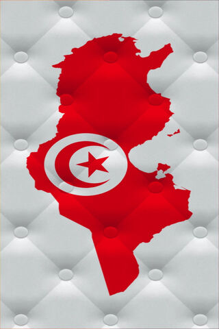 Tunisian Pride: A Map of Heritage 🇹🇳