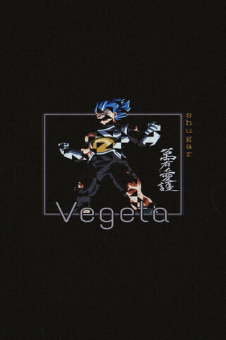 Vegeta: The Warrior of Transformation ⚡️