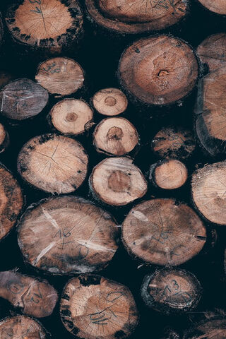 Wood Logs