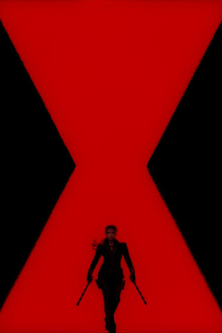 The Shadow of the Widow 🕷️🔴