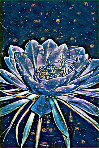 Luminous Elegance: The Night Bloom