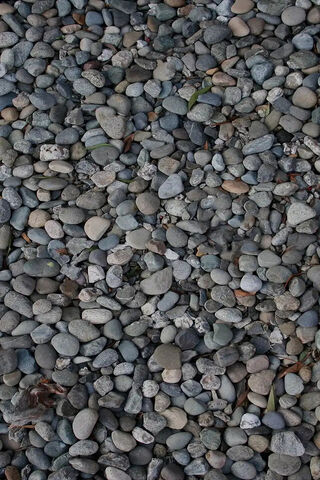 Nature's Mosaic: A Tapestry of Stones 🌍✨