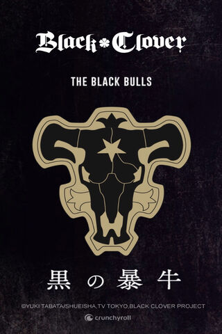 Emblem of the Black Bulls: A Symbol of Strength and Unity