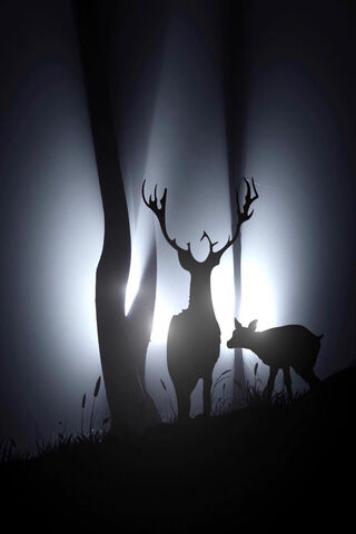 Whispers of the Forest: Antlered Shadows