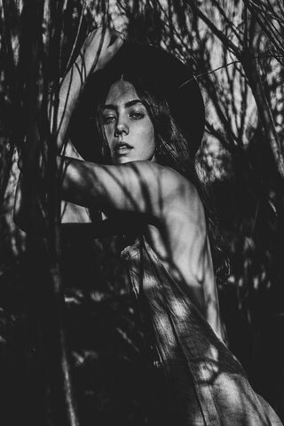 Shadows of Elegance 🌑✨