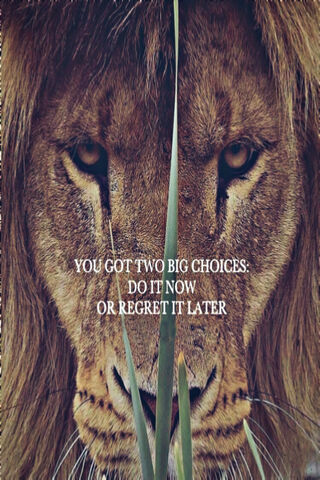 The Roar of Decision: Choose Wisely! 🦁