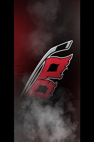 Storming the Ice: Carolina Hurricanes Logo