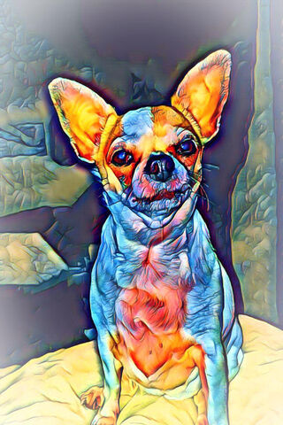 Charming Chihuahua: A Colorful Companion 🐾✨