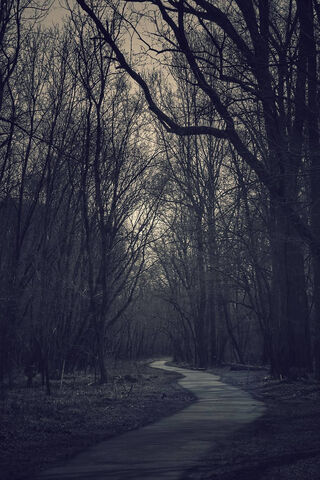 Dark Path