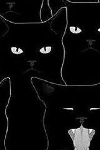 Midnight Whiskers: The Yawning Cat Collective