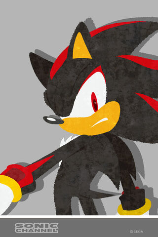 Shadow's Silent Stance