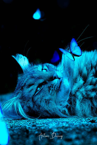 Whispers of the Night Blue