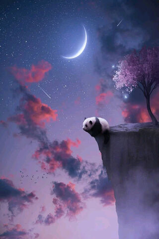 Dreamy Panda Under the ..