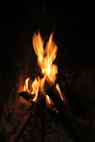 Cozy Glow of the Rustic Hearth 🔥🏡