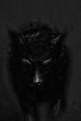Mysteries of the Shadow Wolf 🌑🐺