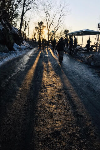 Golden Glow: A Walk into the Sunset 🌅