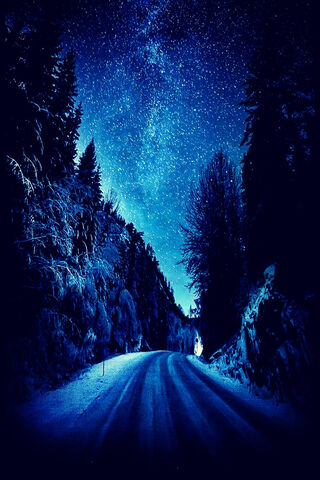 Whispers of a Winter Night 🌌❄️