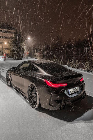 Snowcaa: The Winter Beast